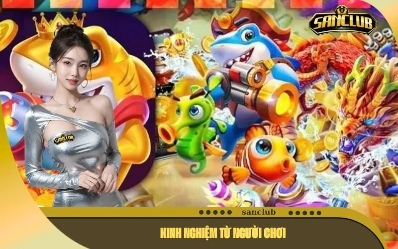 Kinh Nghiệm Từ Người Chơi