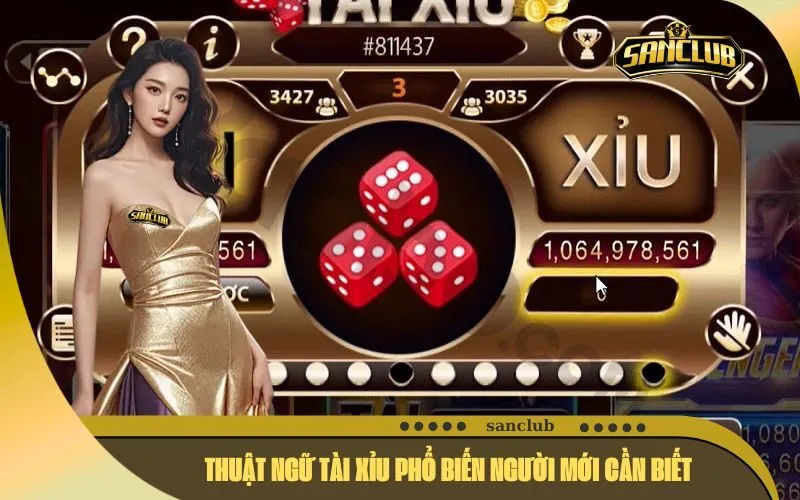 Thuật Ngữ Tài Xỉu Phổ Biến Người Mới Cần Biết